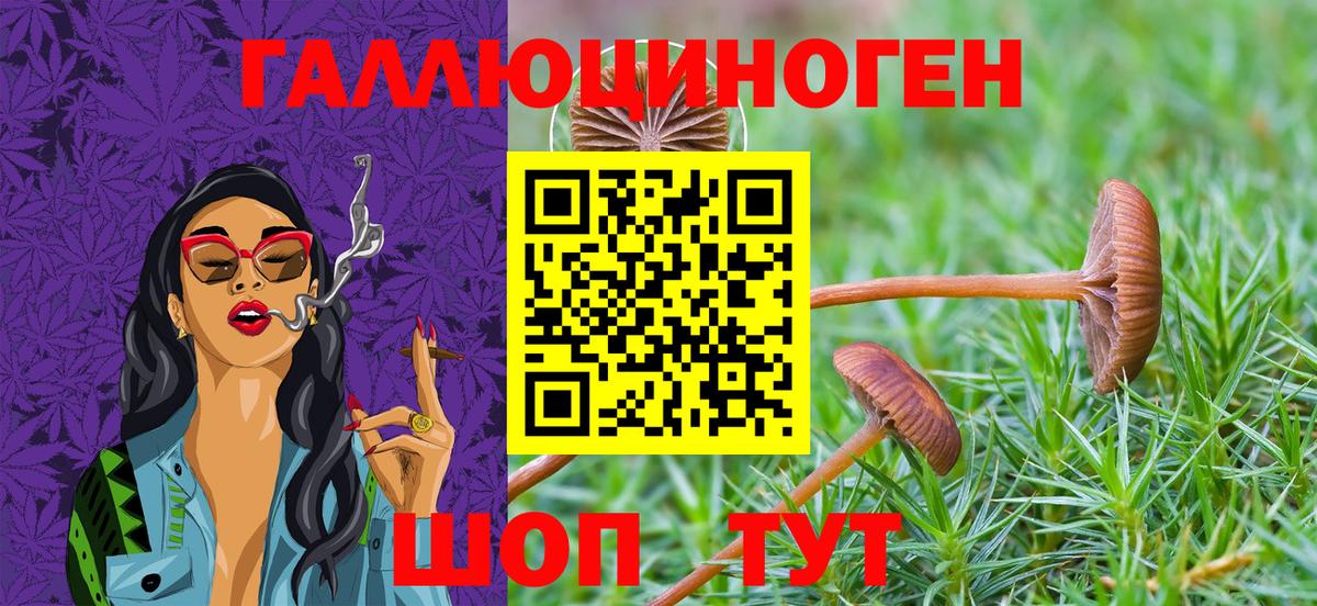 Рузаевка  Галлюциногенные грибы MAGIC MUSHROOMS  Галлюциногенные грибы мухоморы  Вход с VPN 