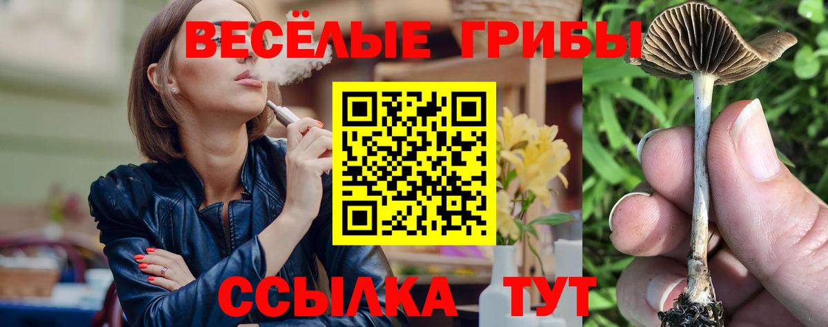 Галлюциногенные грибы мухоморы Рузаевка